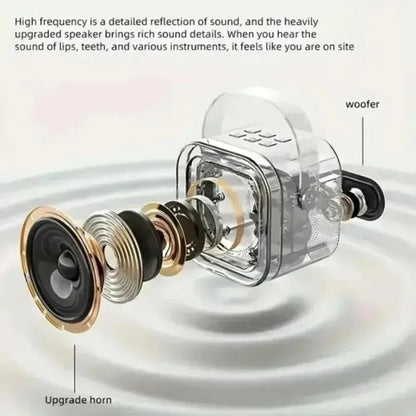 SingBuddy Portable Karaoke Box